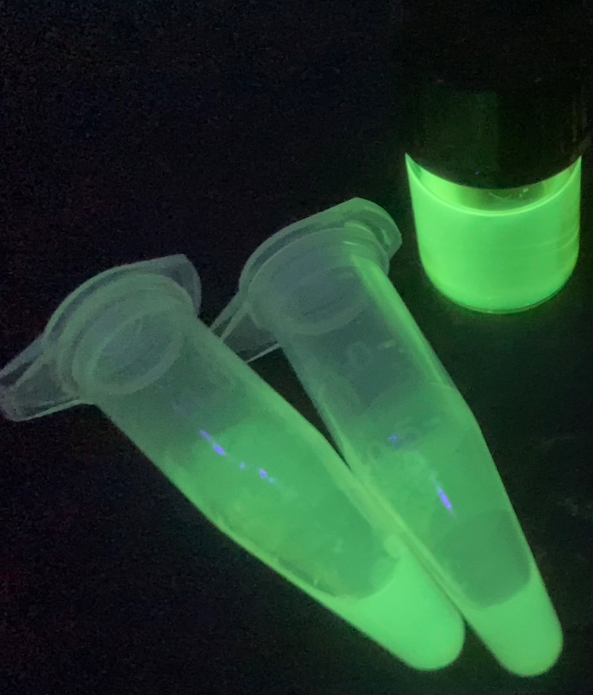Extracted Dinoflagellate green
