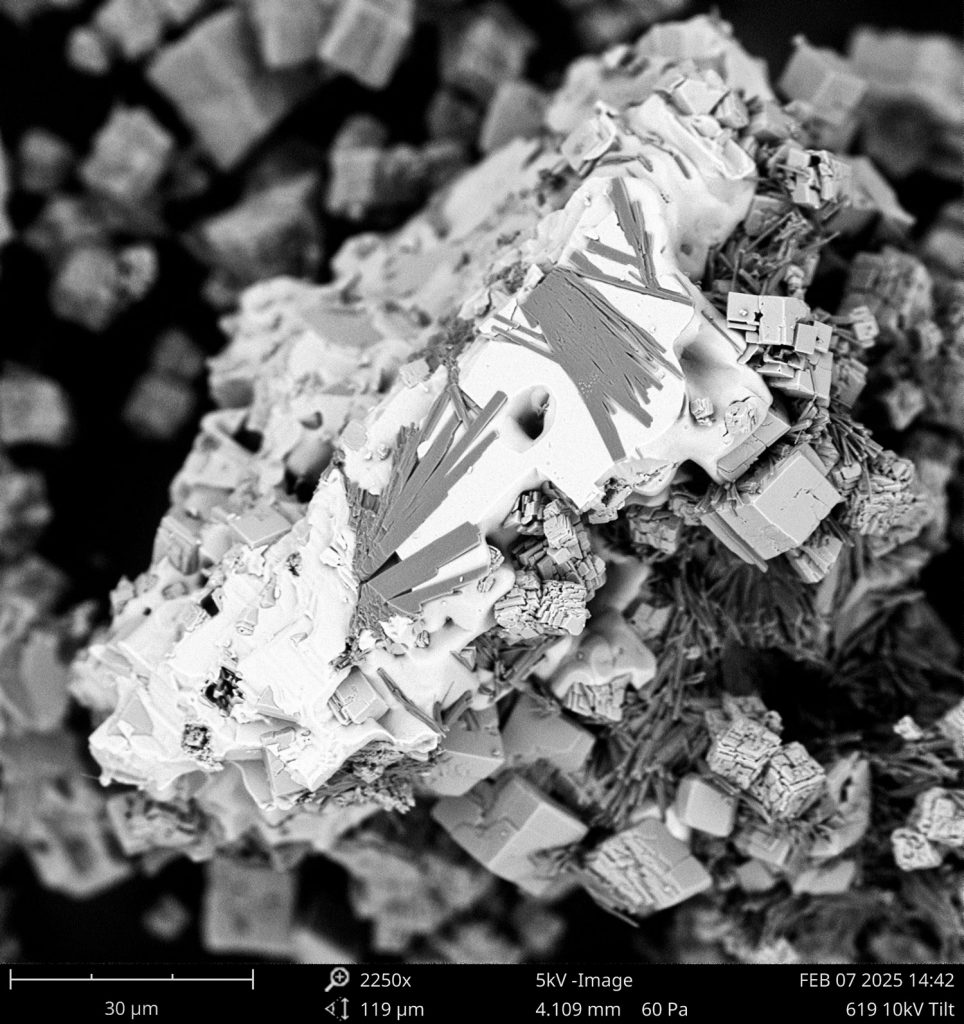 Calcium-Crystal-photo-3