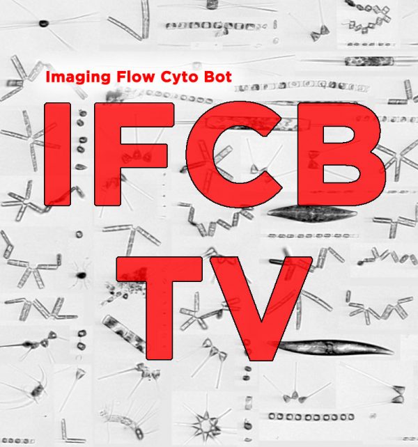 IFCB-TV