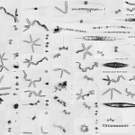 Plankton-composite