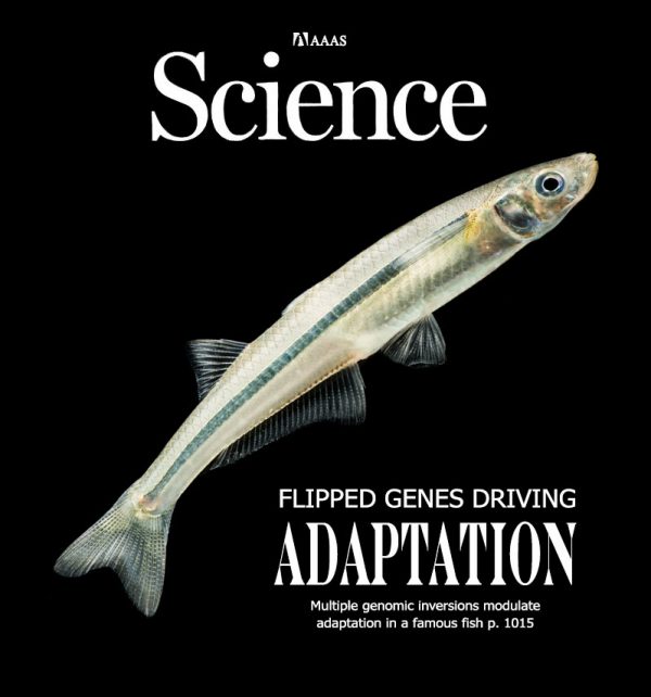 AlternativeScience_cover_alt_Menidia2026